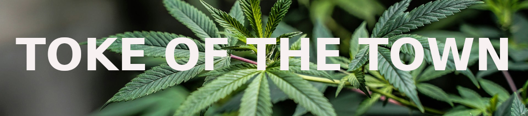 toke of the town logo